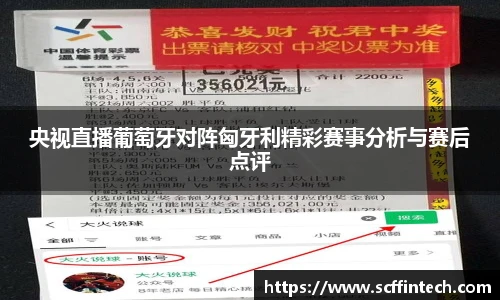 央视直播葡萄牙对阵匈牙利精彩赛事分析与赛后点评