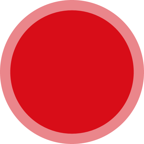 申颜思